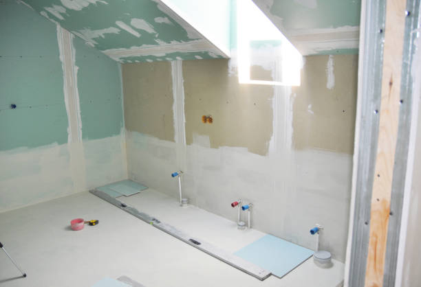 Best Mold Damage Restoration  in Toulon, IL