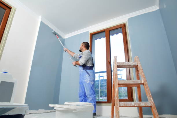 Environmental Consulting for Mold Prevention in Toulon, IL