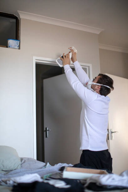 Best Real Estate Mold Inspection  in Toulon, IL