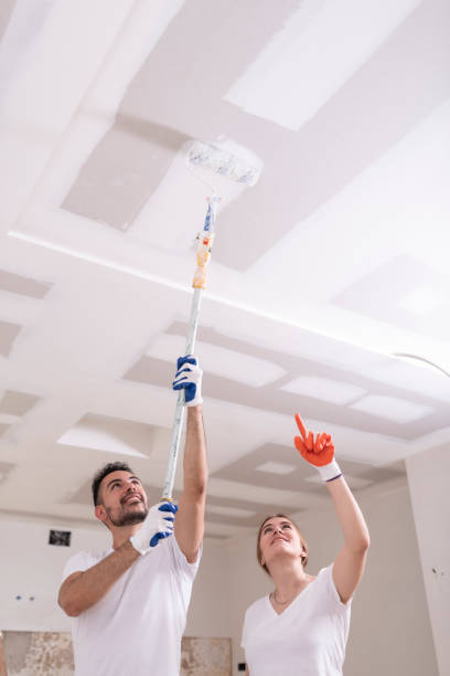 Best Mold Removal for HVAC Installations  in Toulon, IL