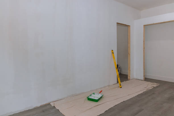 Best Basement Mold Removal  in Toulon, IL
