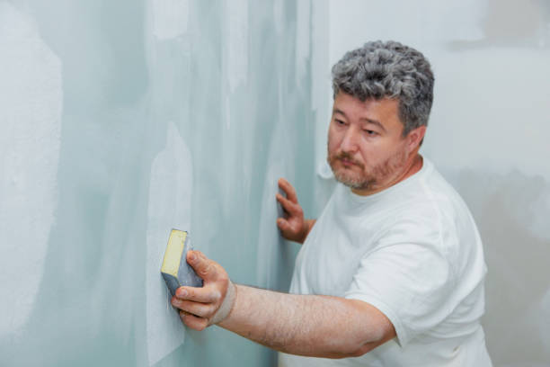 Dehumidification Services in Toulon, IL