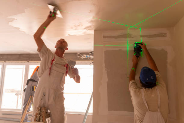 Best Asbestos and Lead Testing During Mold Inspection  in Toulon, IL
