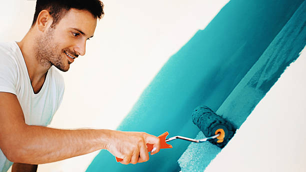 Best Mold Odor Removal Services  in Toulon, IL