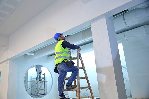 Reliable Toulon, IL Mold Removal Solutions