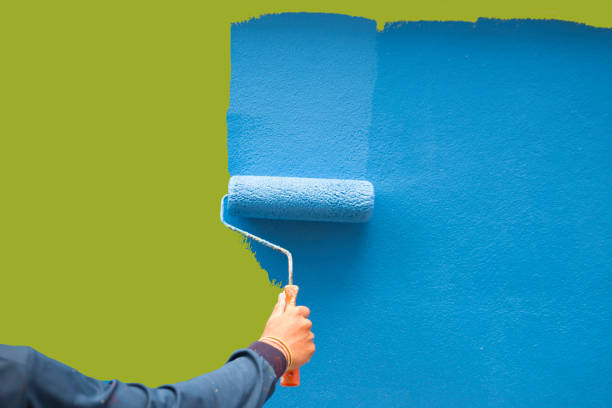 Best Black Mold Removal  in Toulon, IL