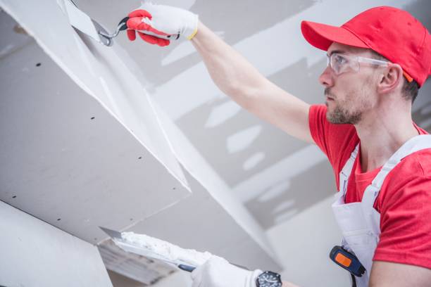 Best Mold Prevention Services  in Toulon, IL